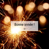 Bodypack_bonne_année_2013