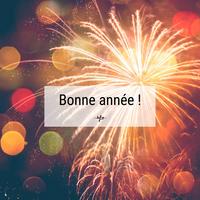 Bodypack_bonne_année_2014